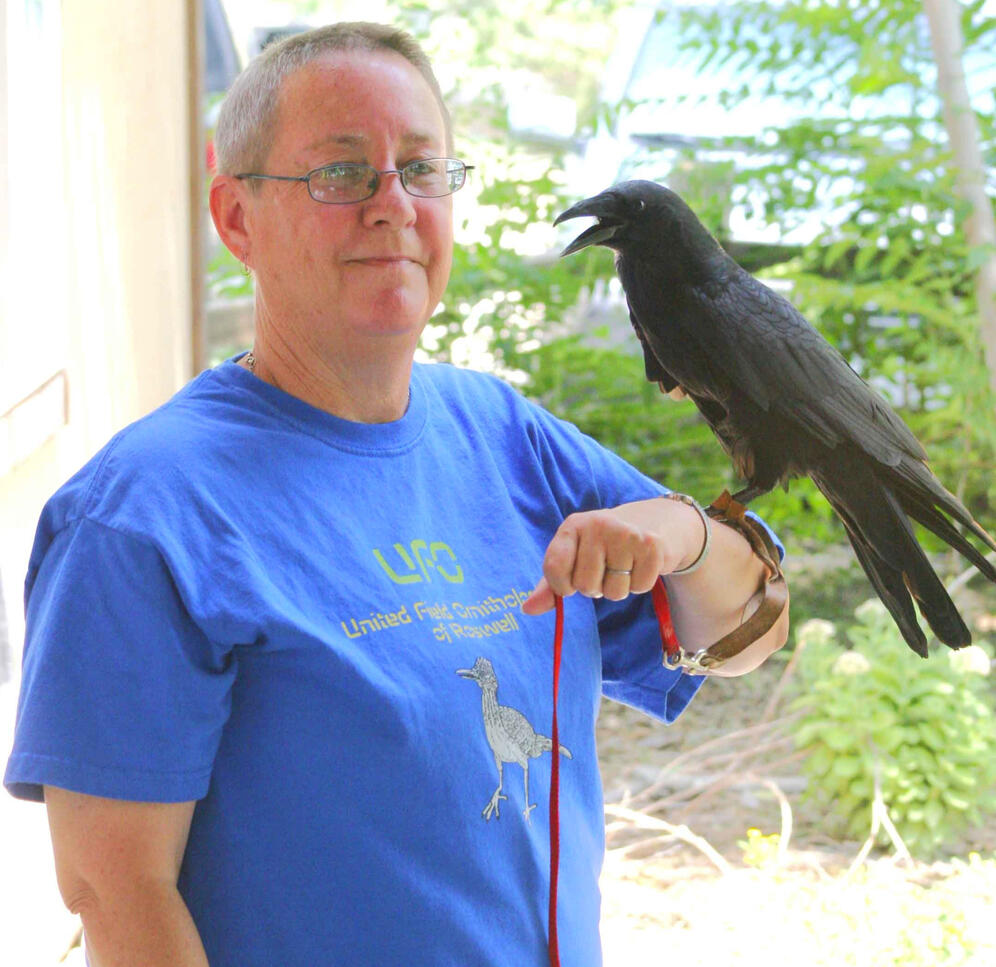 Untitled Laney holding Quoth, a Chihuahuan Raven