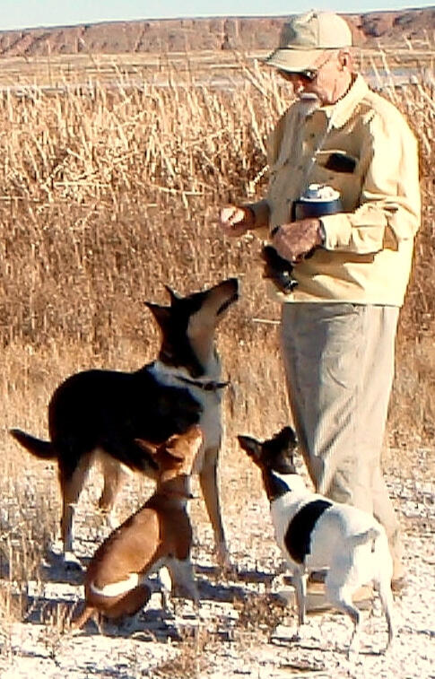 Untitled Dale with Jassie Boo, Smooth-coated Collie; Jobella & Jellybean, American Rat Terriers; at Bitter Lake National Wildlife Refuge